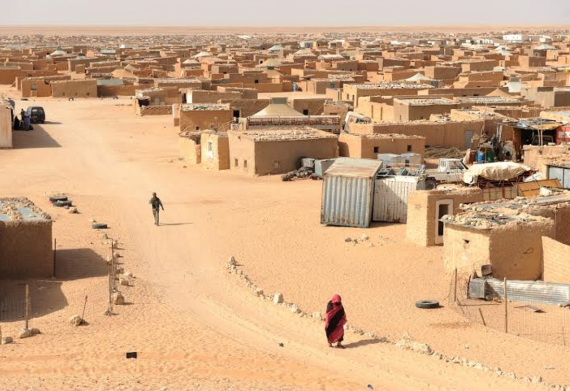 حق الصحراويين بتقرير مصيرهم